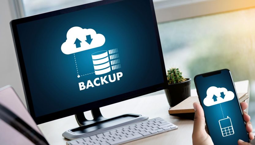 Cosa vuol dire backup?