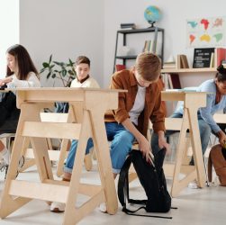Diploma professionale