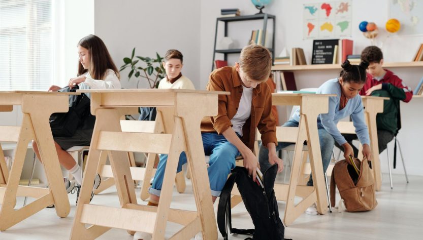 Diploma professionale