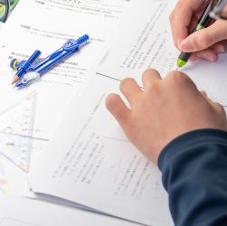 Esame maturità privatista