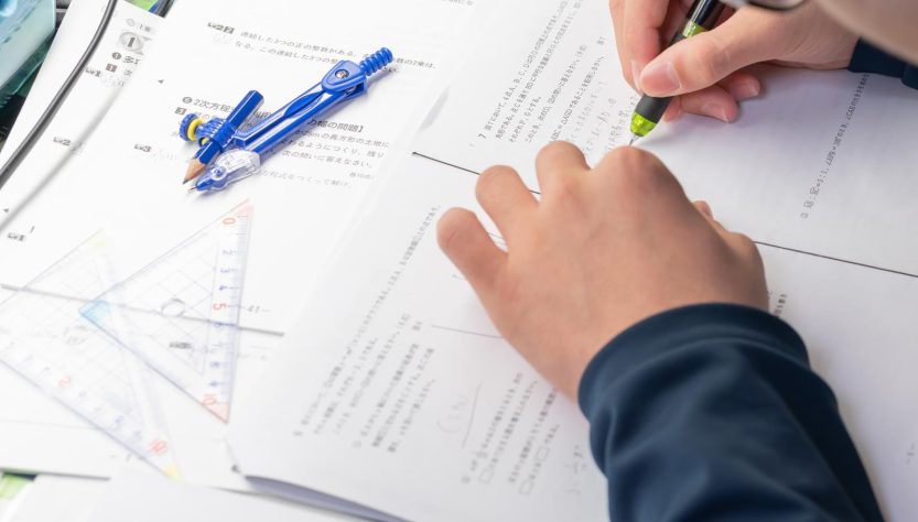 Esame maturità privatista