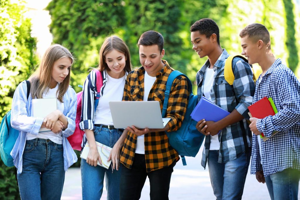 Ib diploma