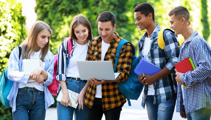 Ib diploma