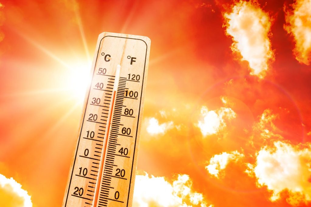 Meteorologo